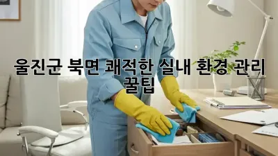울진군 북면 쾌적한 실내 환경 관리 꿀팁 🏡✨