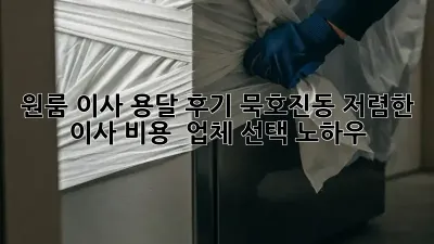 원룸 이사 용달 후기: 묵호진동 저렴한 이사 비용 & 업체 선택 노하우
